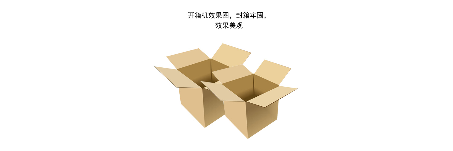 高速伺服立式開箱機的包裝效果